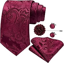 Barry.Wang Ties for Men Paisley 63'' Extra Long Silk Necktie Pocket Square Cufflinks and Lapel Pin Set Wedding Party