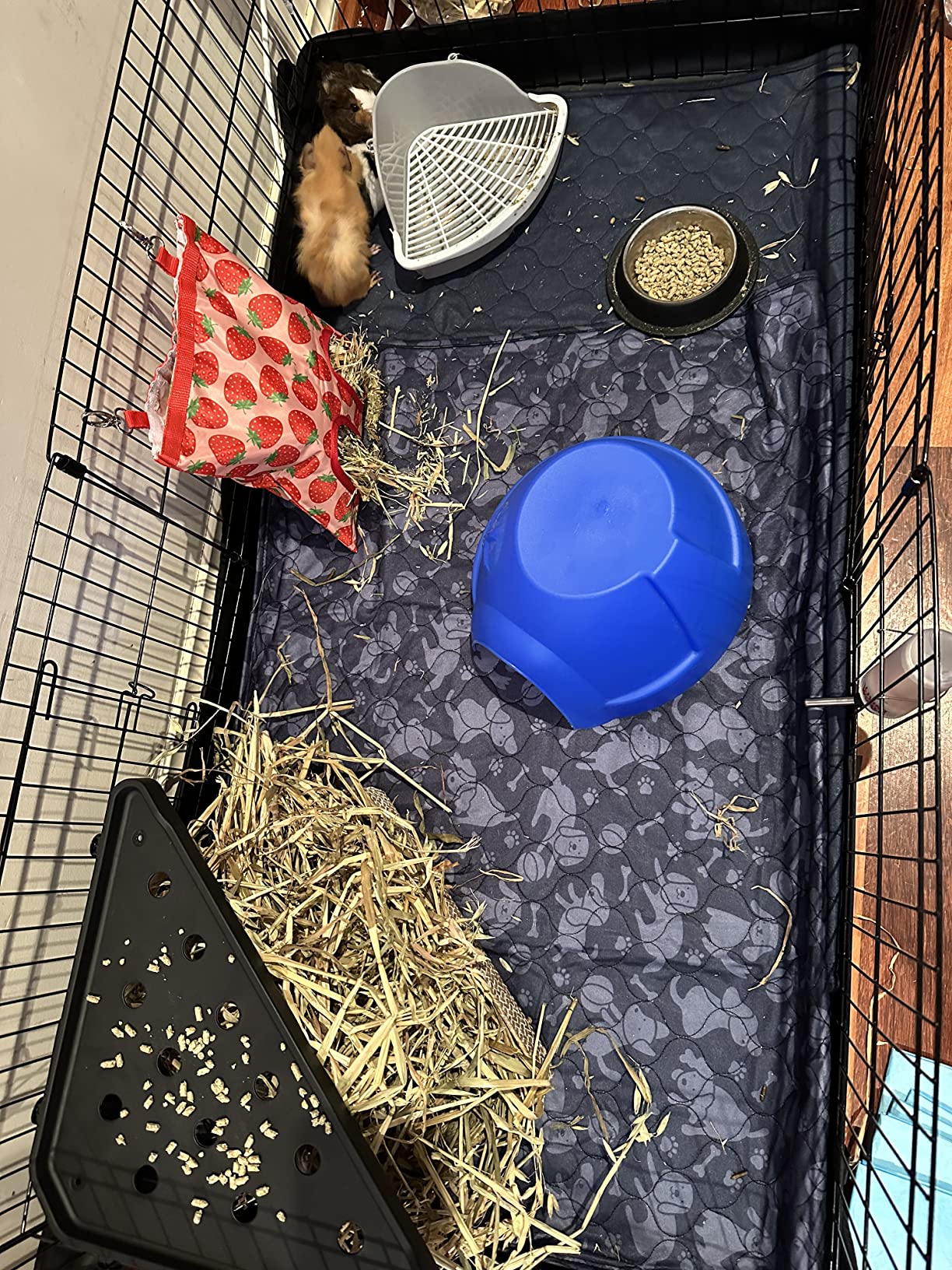 Amazon Basics IndoorOutdoor Small Pet Habitat Cage with Canvas Bottom