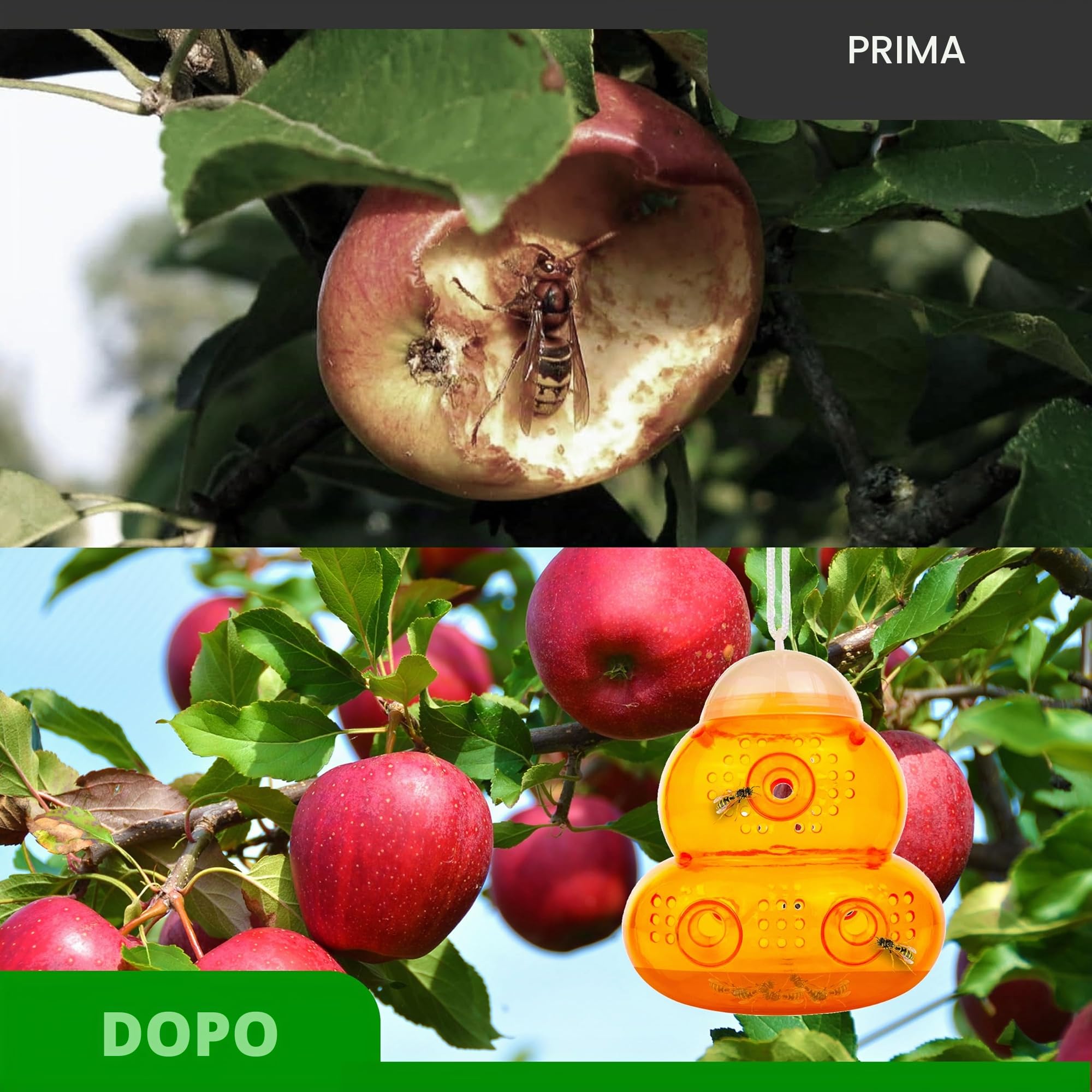 ASPECTEK Trappola per Vespe e Calabroni (2 Pezzi) – Trappola Selettiva da Esterno con Design Salva Api – Riutilizzabile per Giardino, Patio e Casa