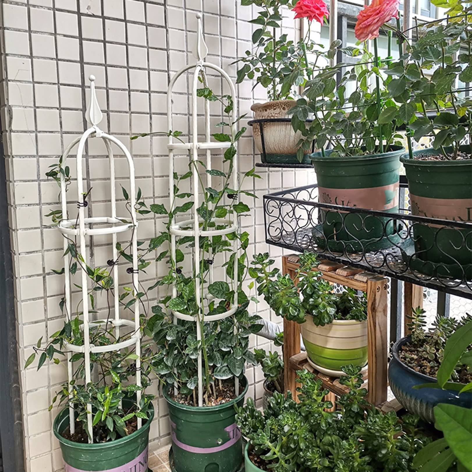 Obélisque de Jardin Arceau Arche,Tuteur Tomates Pieu de Jardin Tuteurs pour Plantes Support tuteur métal Colonne rosiers aux intempéries pour Support de Fleurs,de Légumes,Plantes,Jardinage et verger
