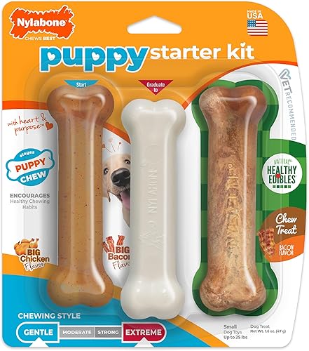 Nylabone Puppy Chew Toys for Teething Puppies SmallRegular - Up to 25 Ibs Nylabone Puppy Chew Toys for Teething Puppies SmallRegular - Up to 25 Ibs