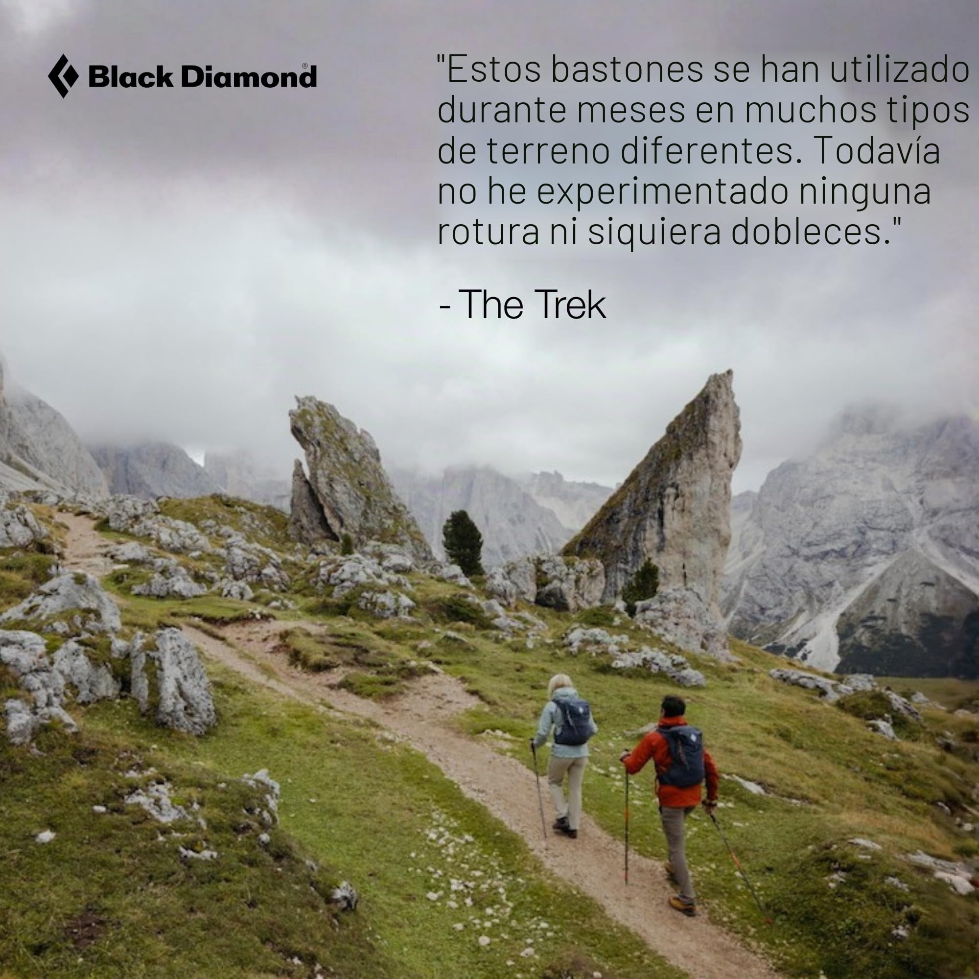 Black Diamond Alpine Carbon Cork - Bastones de senderismo