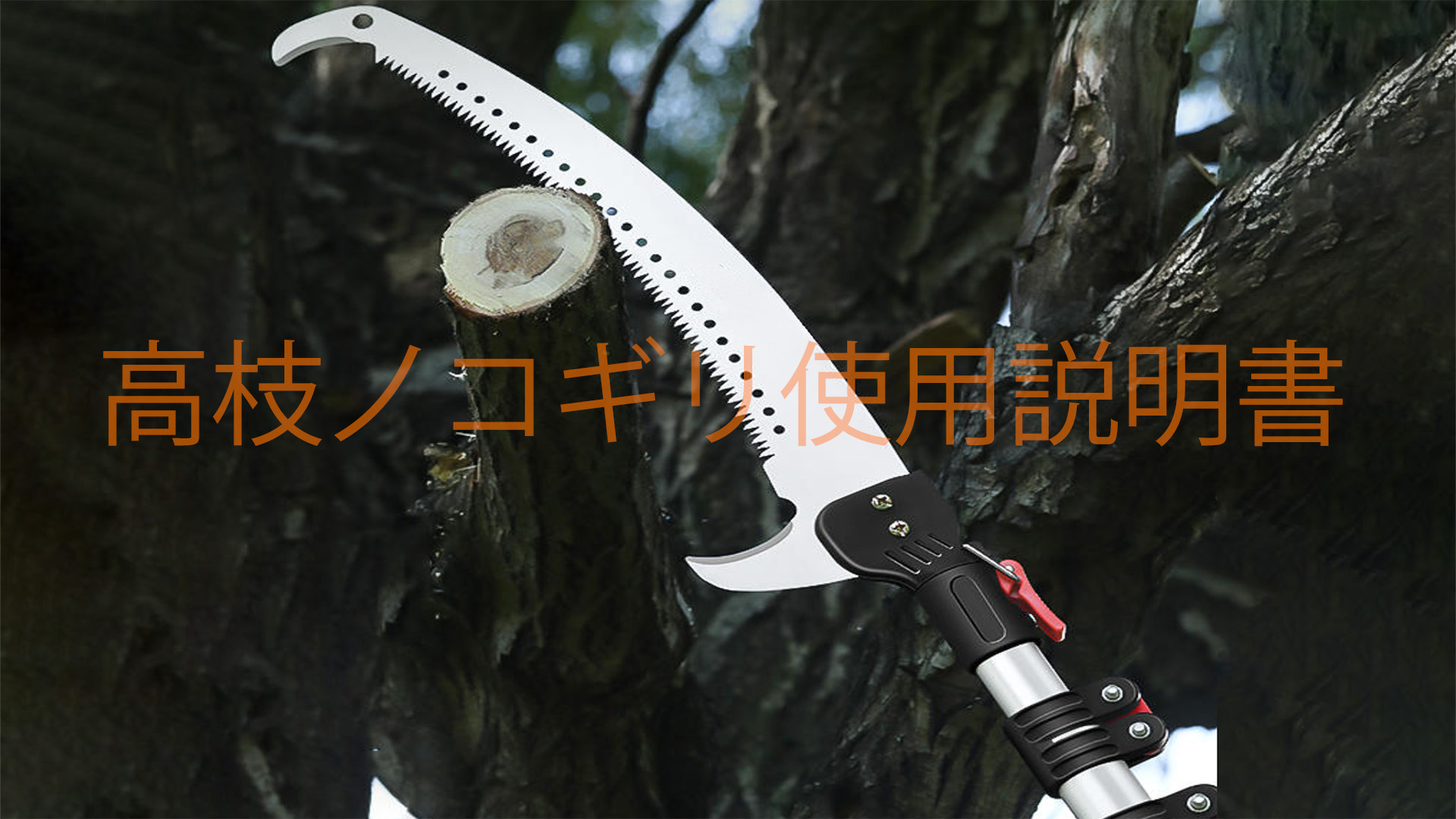 Amazon | CTREVL 高枝ノコギリ 高枝切りハサミ 空中剪定鋏 軽量 Amazon | CTREVL 高枝ノコギリ 高枝切りハサミ 空中剪定鋏 軽量