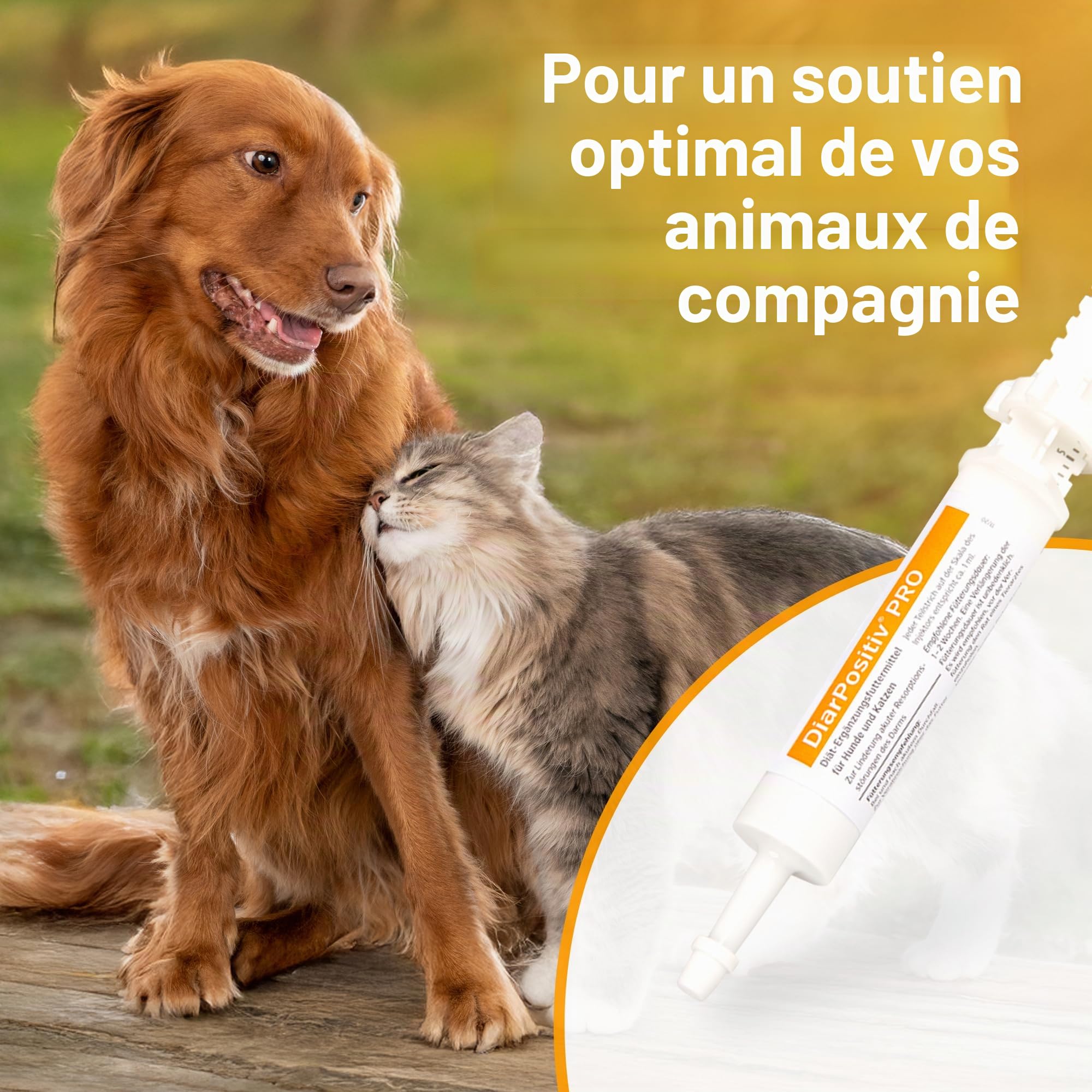 alfavet DiarPositiv Pro, complément Alimentaire diététique, pâte pour Chiens et Chats, soulagement de la diarrhée, injecteur de 30 ML