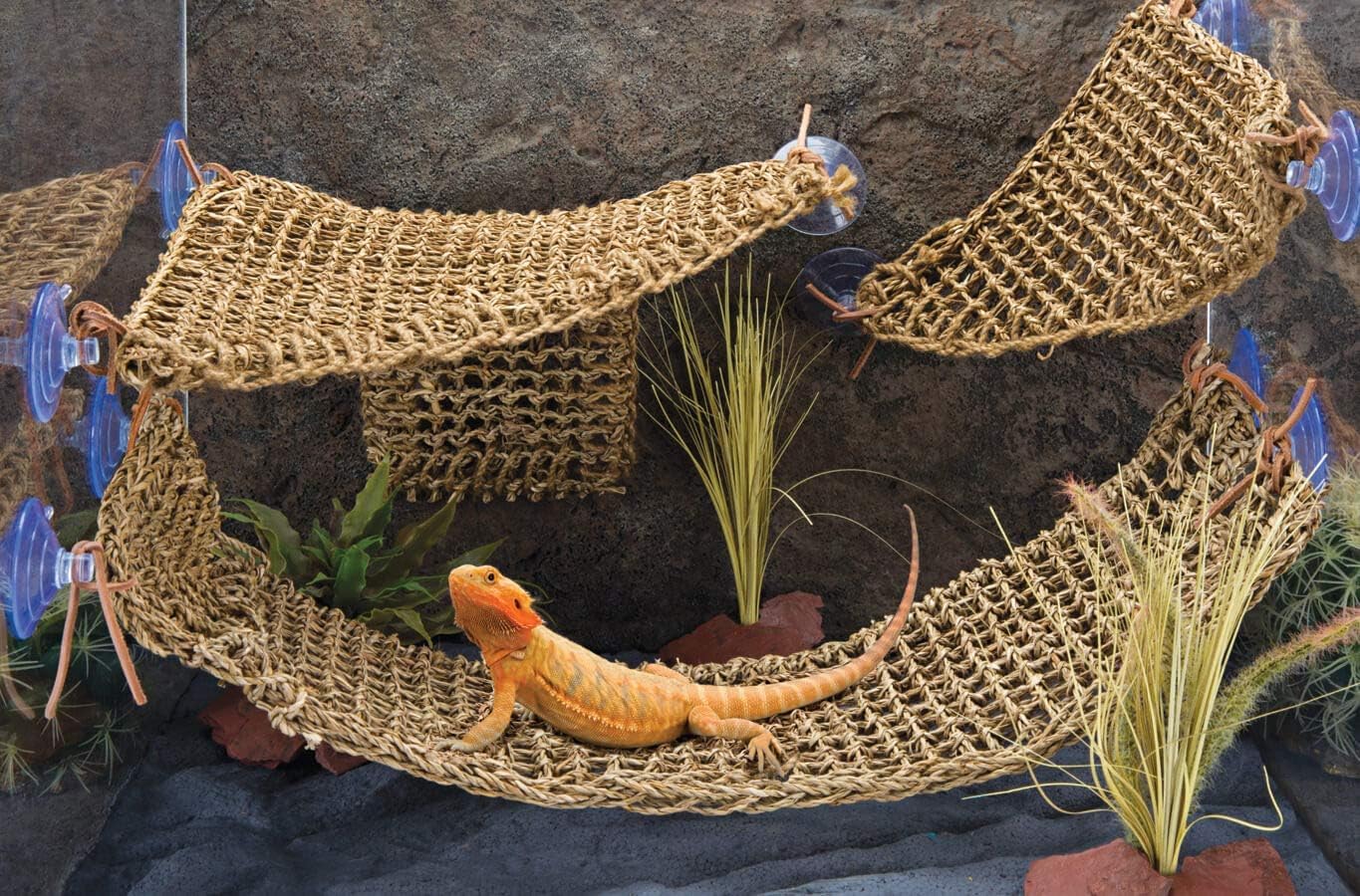 Penn-Plax Reptology - Tumbona Triangular esquinera de Lagarto, 100% Fibra de Hierba Marina Natural, Ideal para Dragones barbudos, Anoles, gecos, Iguanas y Otros Reptiles, pequeña