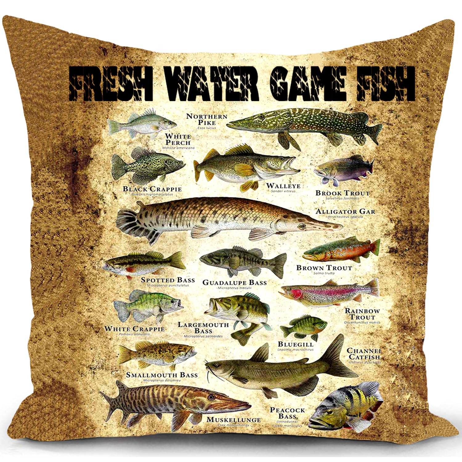 HUASHUZI Cushion Cover Fishing Gifts for Men Fisherman'S Gift Stuff Carp Fishing Accessories Decorations Throw Pillow for Bed Chair Stool 18"X18"(45x45cm)