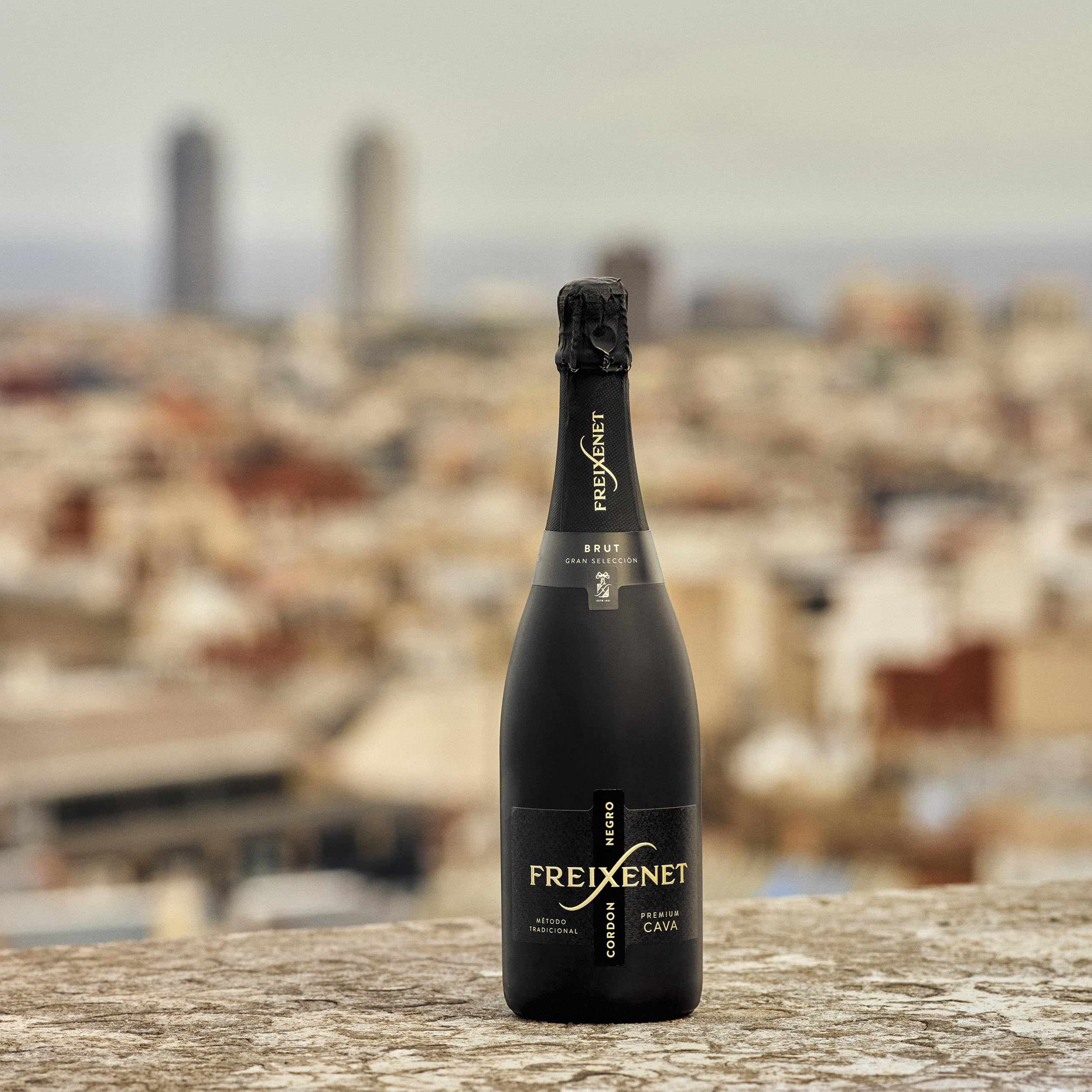 Freixenet Cava Cordon Negro Brut - 0,75 l : Amazon.es