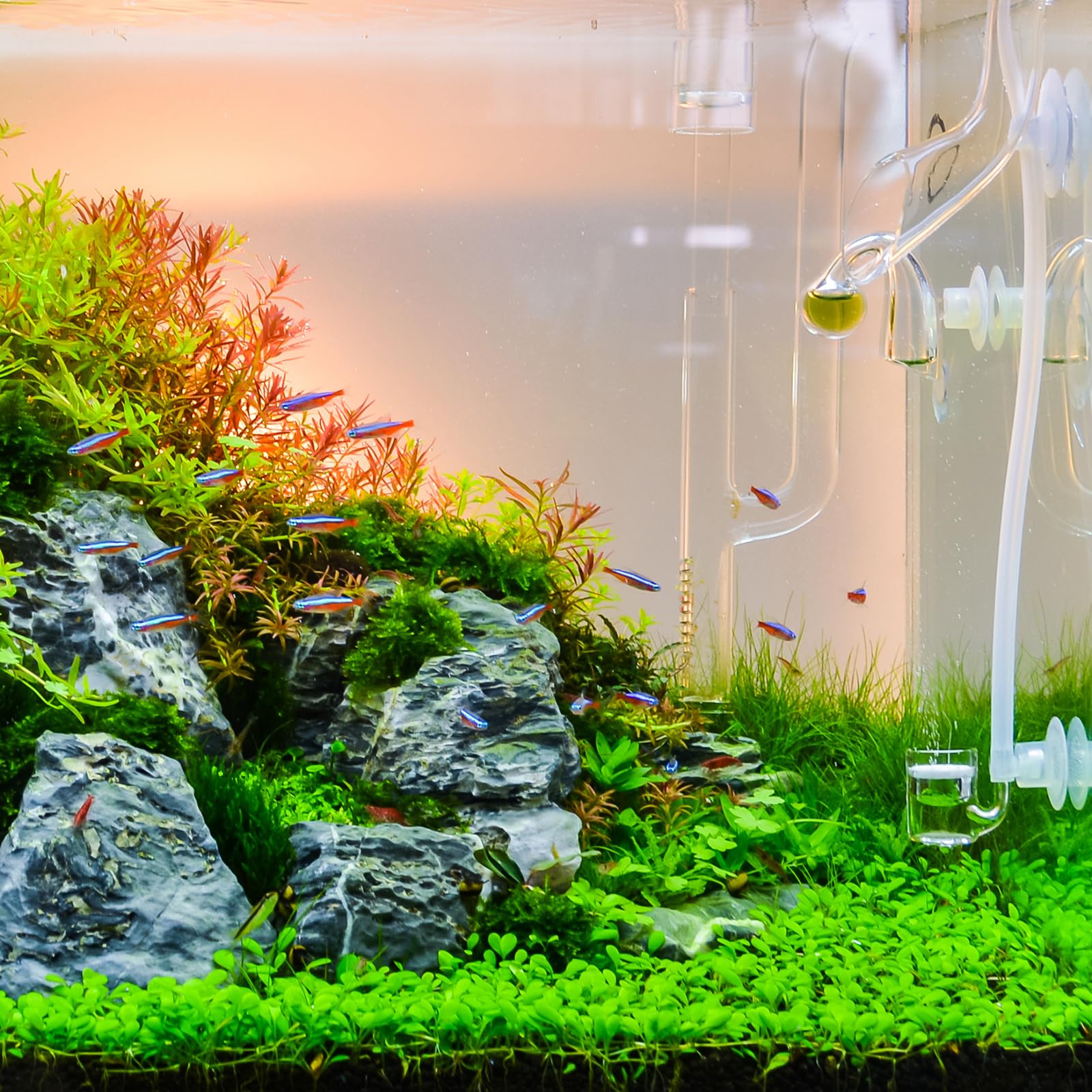 RUNCCI Kit 60 Pezzi Raccordi Per Tubi Acquario 6mm - Connettori A L, T, Y E I Per Impianto Aria - Foto 3