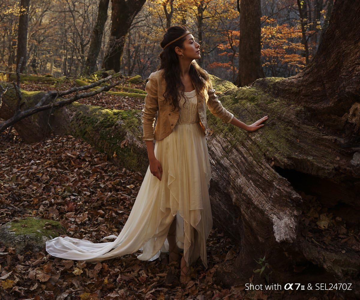 Sony SEL2470Z E Mount - Full Frame Vario T 24-70 mm F4.0 Zeiss Zoom Lens 3 81MWPonVIWL. AC SL1200