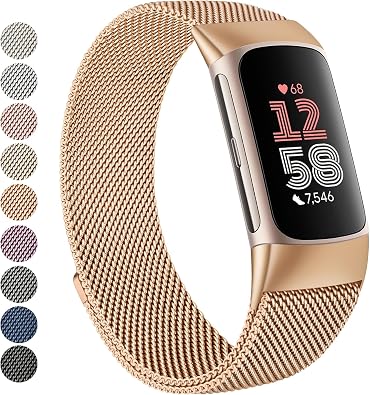 Vanjua for Fitbit Charge 6 Bands Women Men, Stainless Steel Metal Mesh Loop Adjustable Wristband Replacement Strap Compatible with Fitbit Charge 6 Fitness Tracker