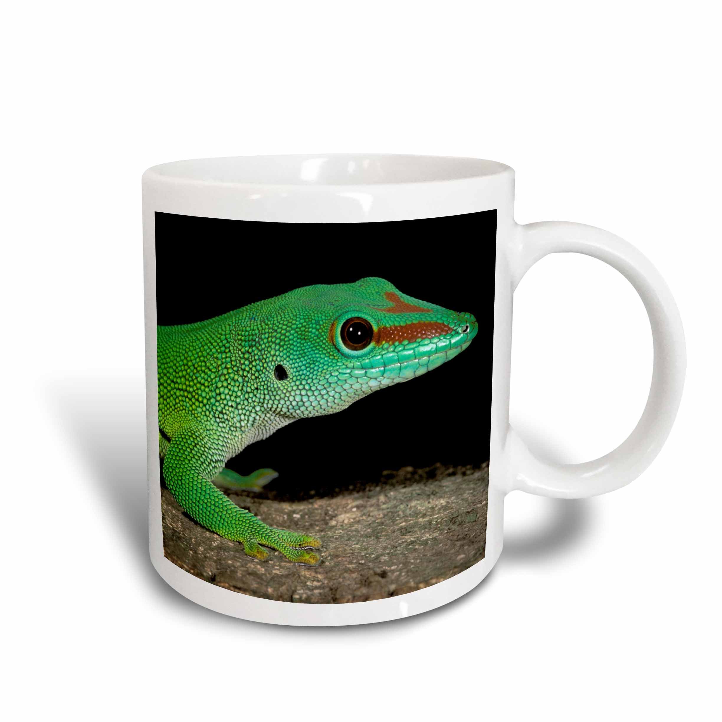 VOLTX DESIGN Printed "Madagascar, Ankarana Reserve, Day Gecko Lizardaf Pox Pete Oxford" Ceramic Mug, , Multicolor