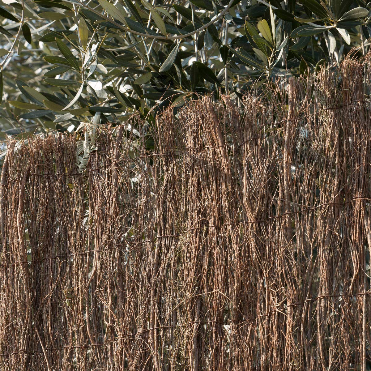 STI Arella Stipa recinzione coperture divisori ombreggiante resistente 200X300cm