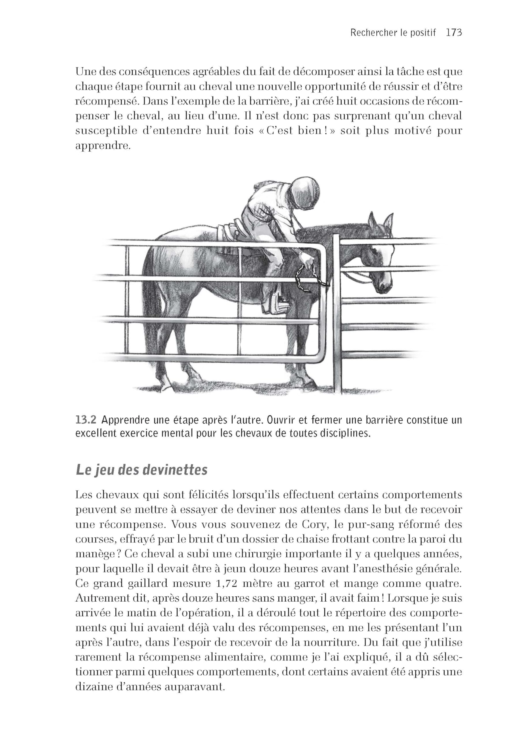 Cerveau équin, cerveau humain: Neurosciences et interactions homme-cheval