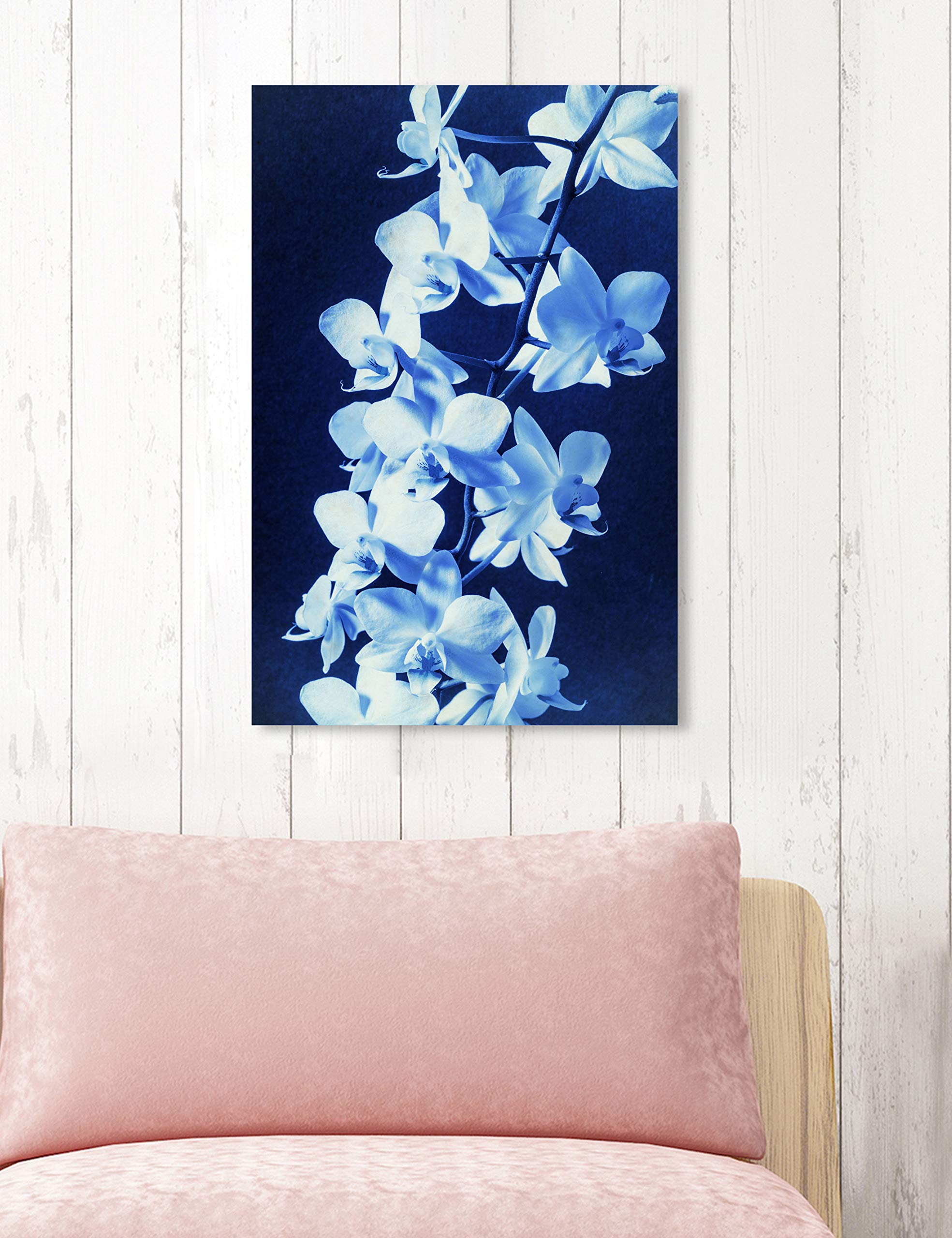 Amazon.com: The Oliver Gal Artist Co. Floral Wall Art Canvas