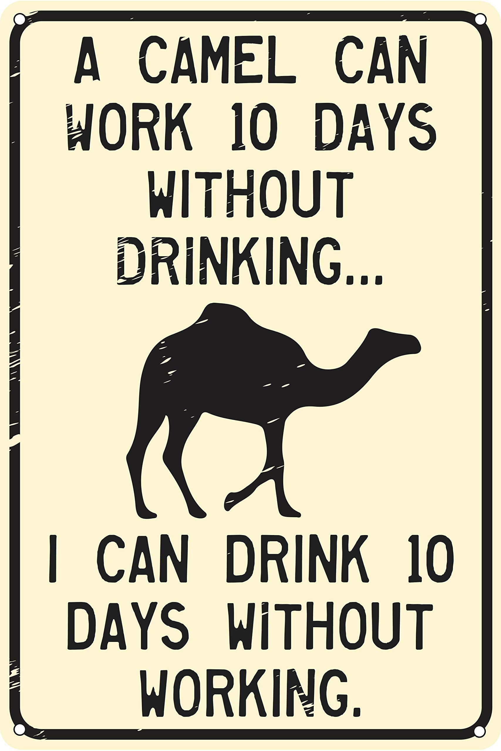 Ingzzaac Metalpostera26093 A Camel Can Work 10 Days Without Drinking Funny Tin Sign 8"X12"