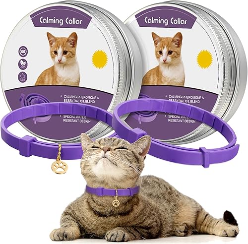 Weewooday Collar relajante para gato, 2 piezas, con colgante ajustable, reduce la ansiedad para cachorros, gatos, reduce la agresión por estrés y