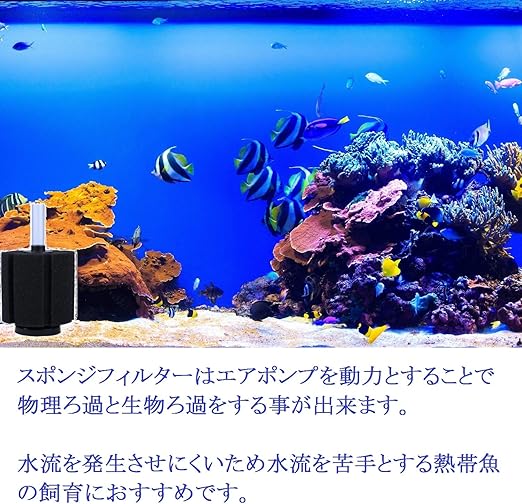 Amazon エム プロ M Pro スポンジ フィルター 大 サイズ 4個 Xy 380 水槽 アクアリウム 水質 改善 投げ込み 型 熱帯魚 淡水魚 金魚 メダカ ４個セット M Pro フィルター 通販