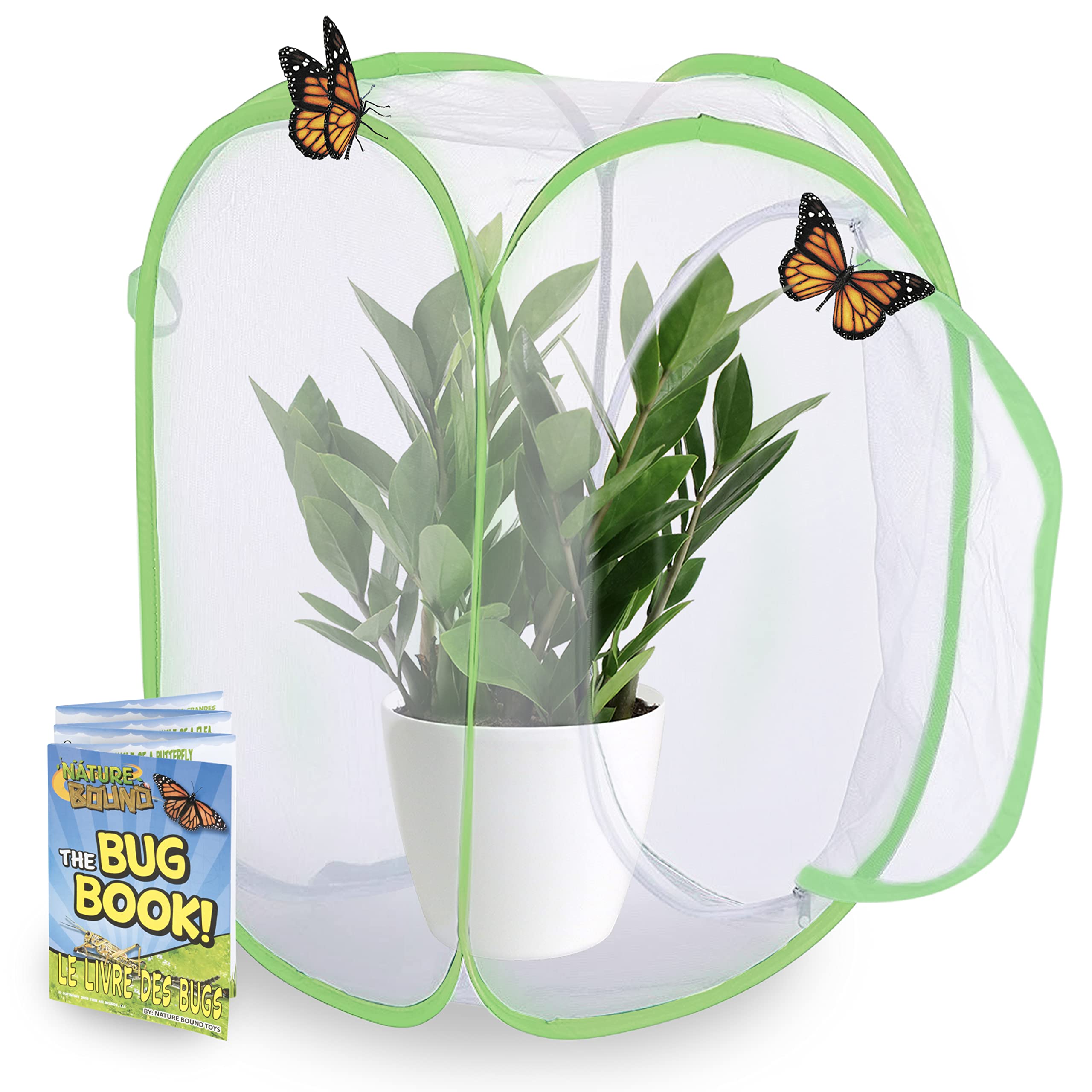 Amazon.com: Nature Bound Butterfly Growing Kit - Live Caterpillar