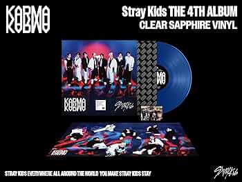 Amazon.co.jp: KARMA [12 inch Analog]: ミュージック