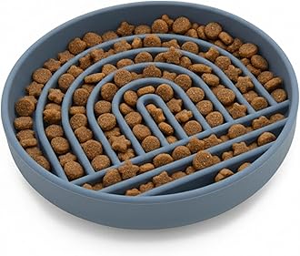 Should We Go? Slow Feeder for Dogs & Cats, The Slowdown Bowl Silicone Slow Eating Mealtime Solution with Modern Lick Mat Design, Reduces Gulping, Fits 1 Cup, 6” Across x 1.25” Tall, Small-Ocean