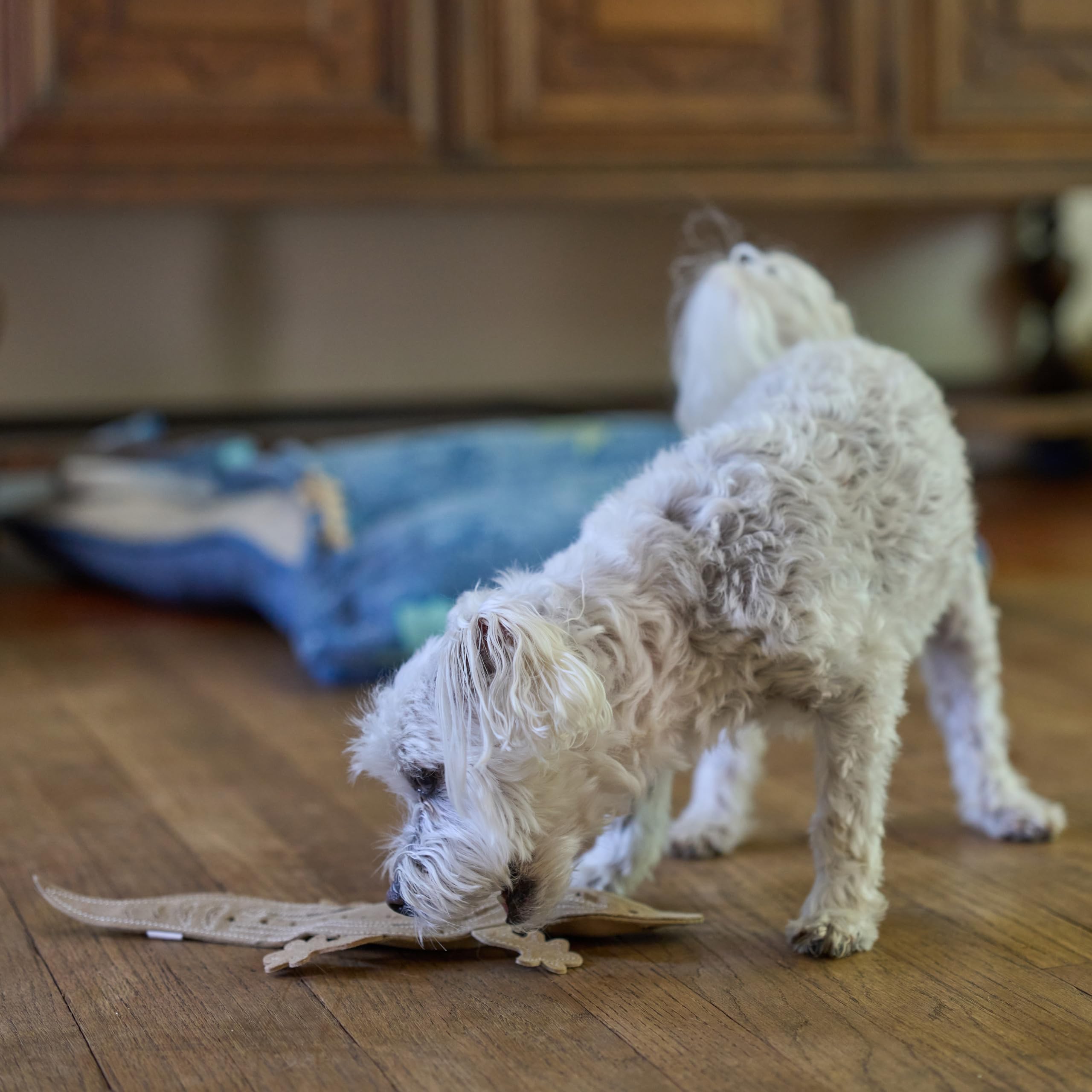 Ethical Pets Skinneeez skórzana zabawka dla psa - jaszczurka 38 cm