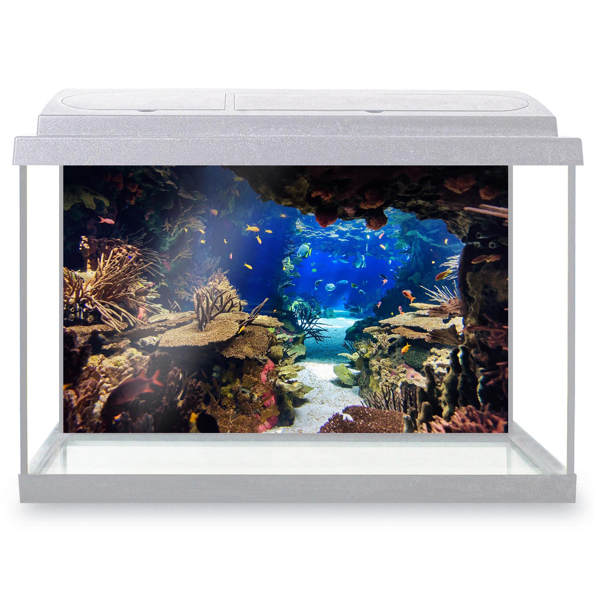DV DESIGN Aquarium Fish Tank Background 77x47 cm - Aquarium Plants Tropical Colorful Fishes Coral Reef Underwater Deep Sea Animal Static Cling Vinyl Vivarium Terrarium External Application #500003