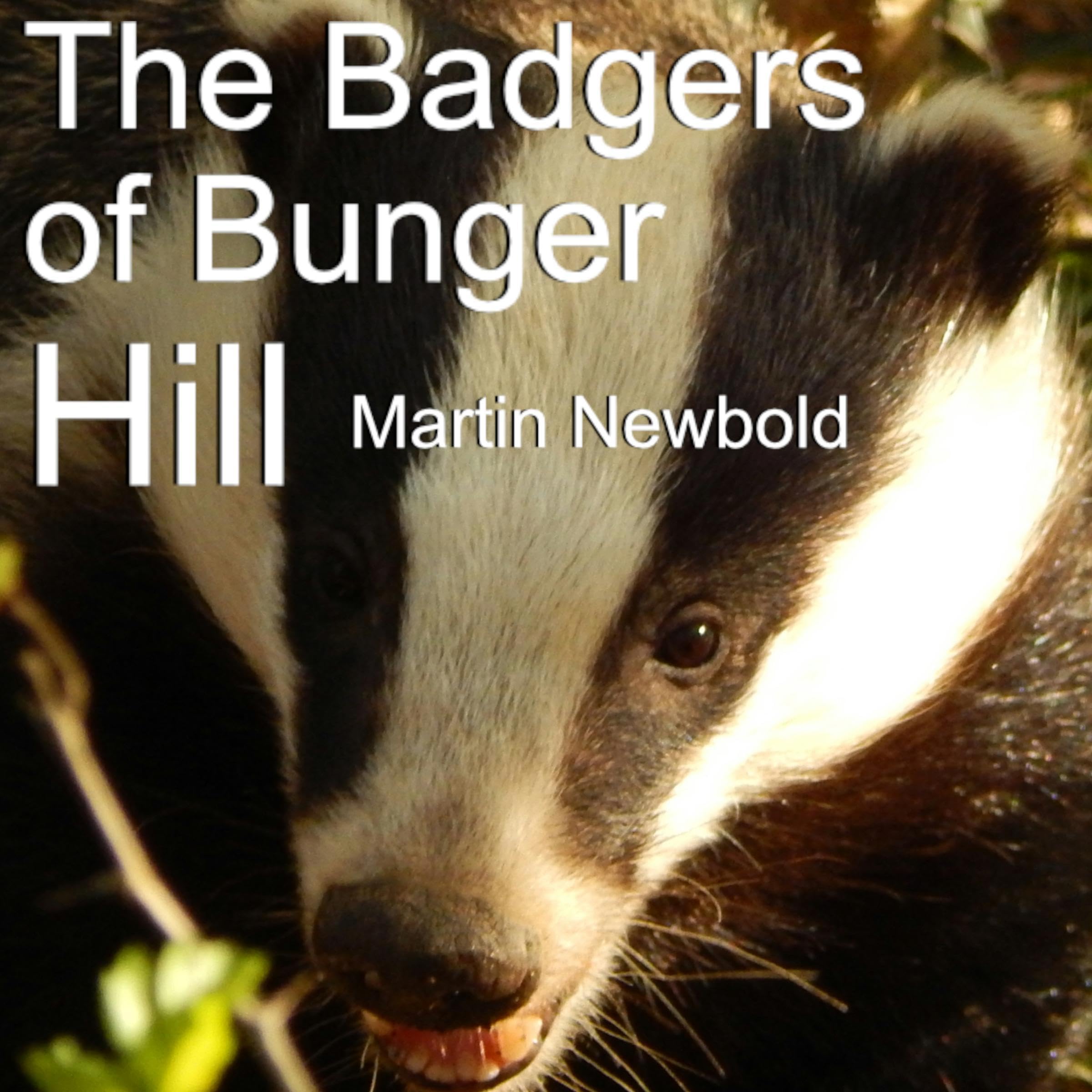 Cover art for The Badgers of Bunger Hill