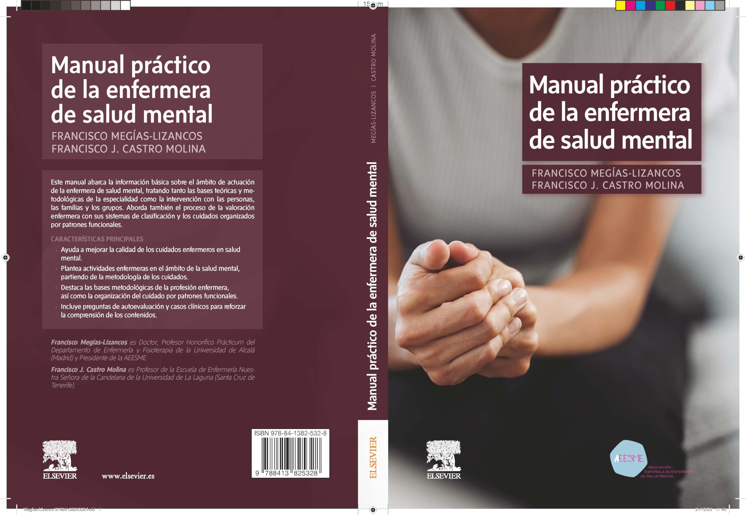 Manual práctico de la enfermera de salud mental
