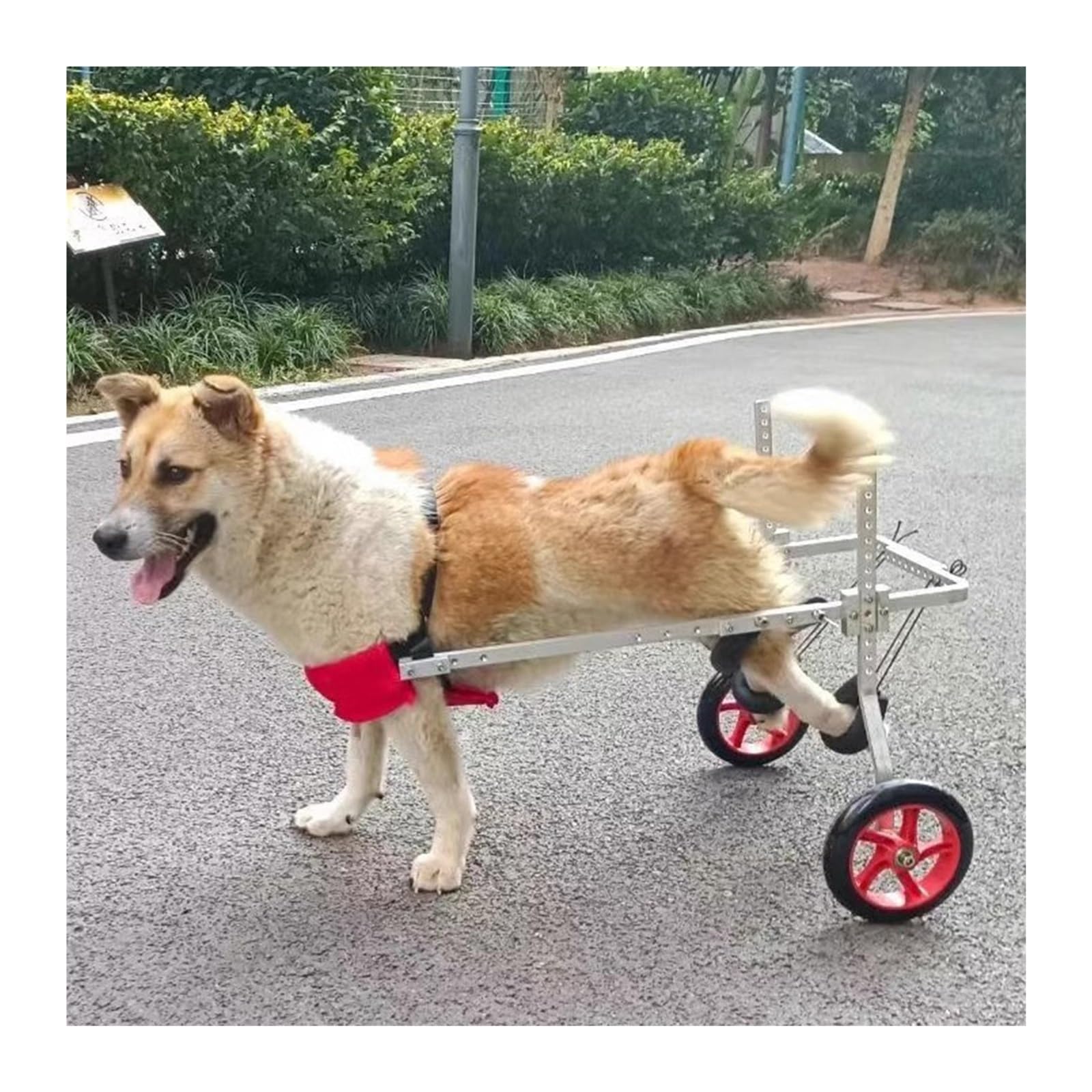 Carrozzina per Cani Regolabile Carrello/carrozzina Per Cani Per Le Zampe Posteriori, Leggero Carrozzine Per Animali Domestici Per La Deambulazione Delle Zampe Posteriori Disabili, Per Cani Di Grossa T