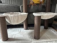 Review Image by An An