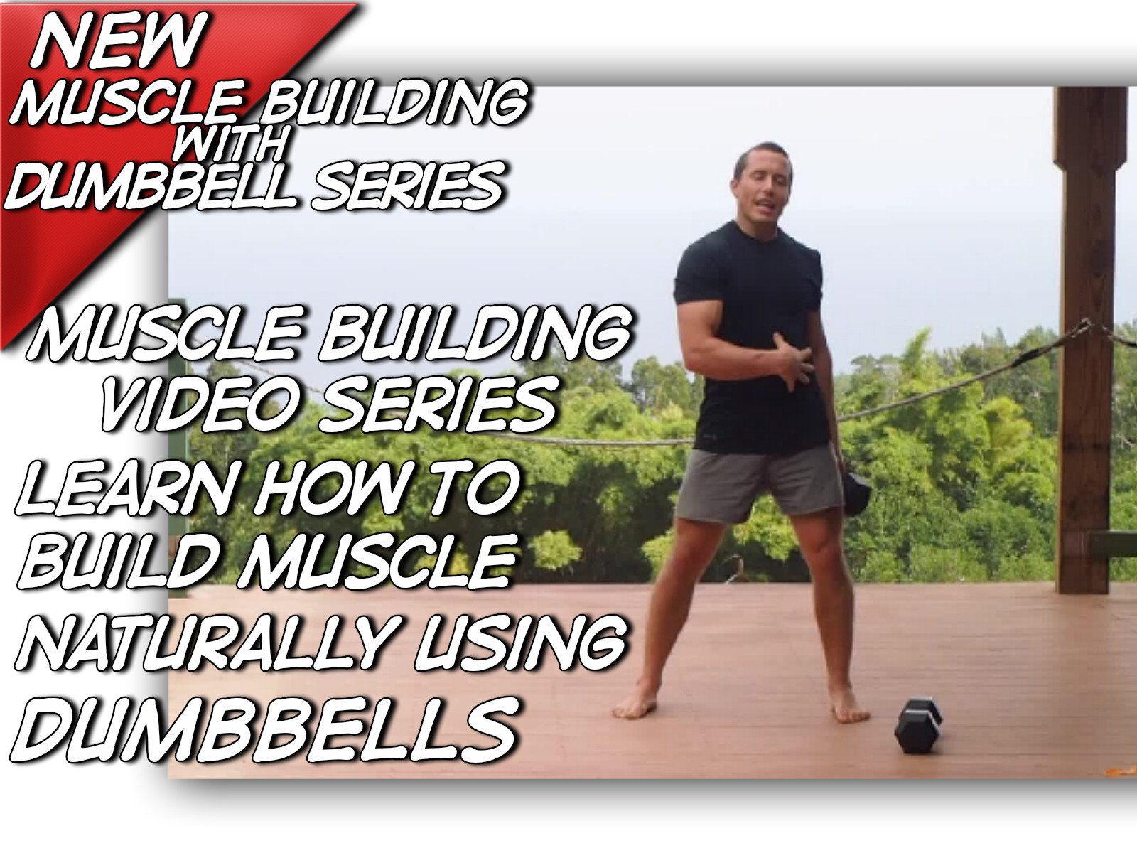 Muscle Building Build Muscle Fast Burn Fat Naturally Using Dumbbells for Muscle Building Video Series Lose Fat Look Great
