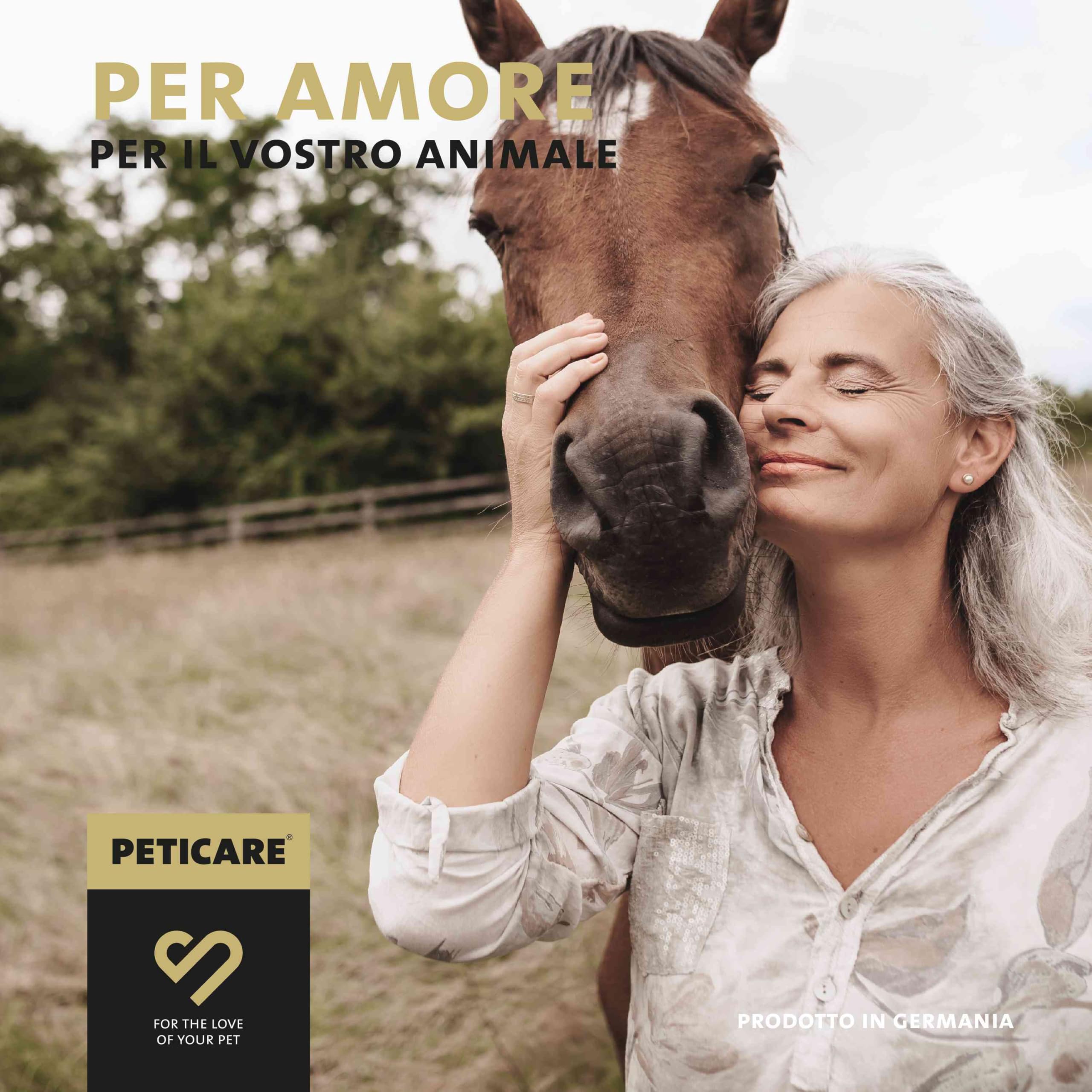 Peticare Polvere Flora Intestinale ed Erbe Cavalli – Supporto Naturale per l'Ambiente Intestinale – Con Semi di Zucca e Assenzio – Integratore per Cavalli