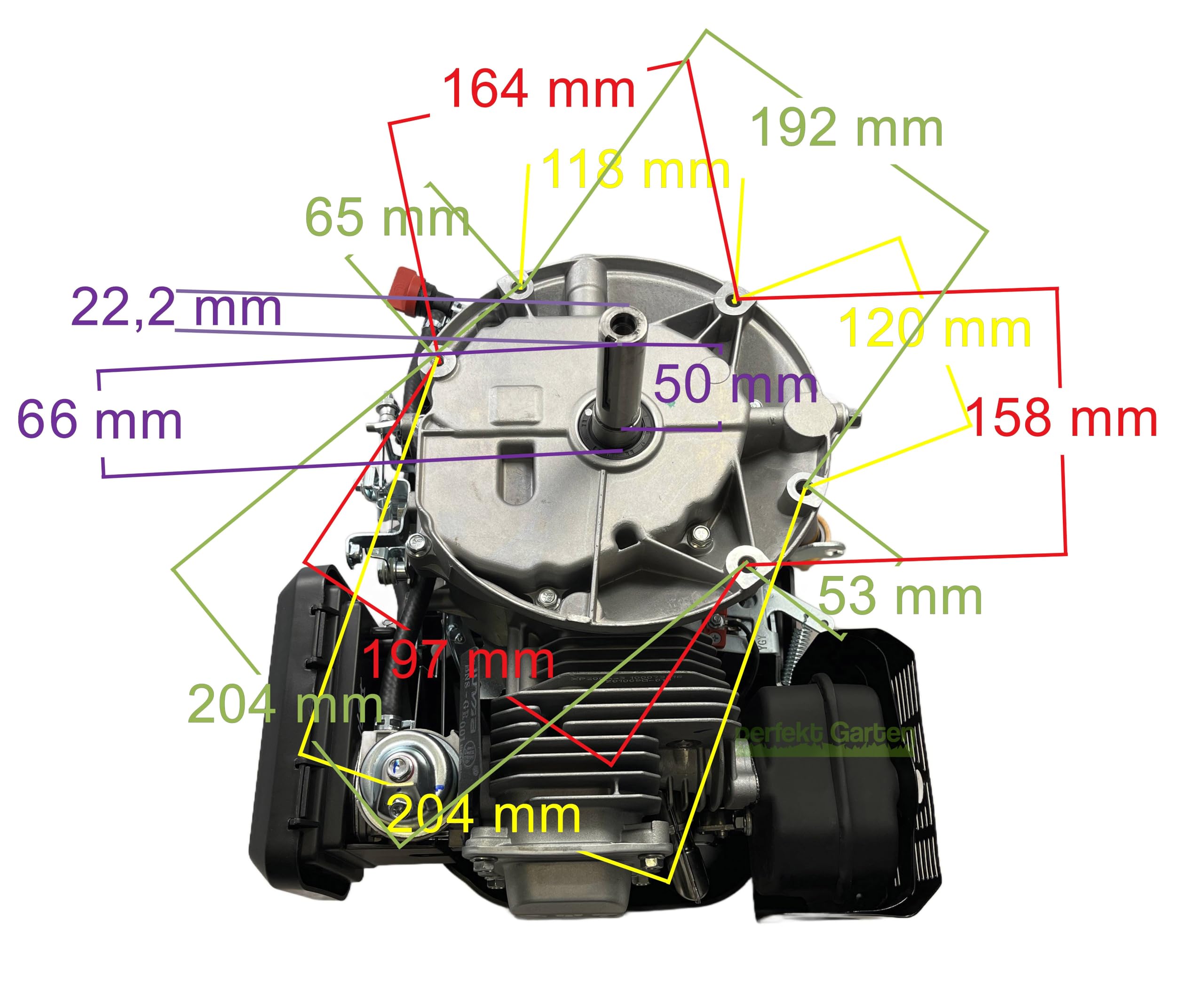 Motor de arranque para cortacésped Zongshen XP200A de 6,5 CV, 196 cc, 22,2 mm/60 mm + aceite