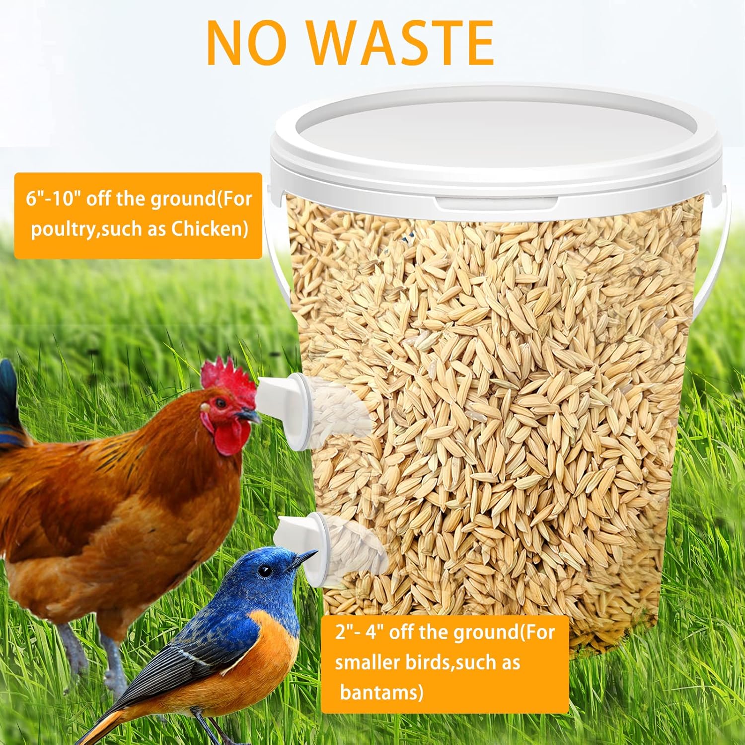 Buy Jacgood DIY Chicken Feeder and Waterer Set 6 Ports with 6 Chicken