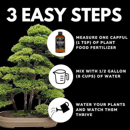 Miniatura 5 de Hoja exuberante  Bonsai