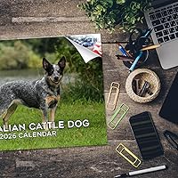 Vista 781 de Razas de Perros 2017