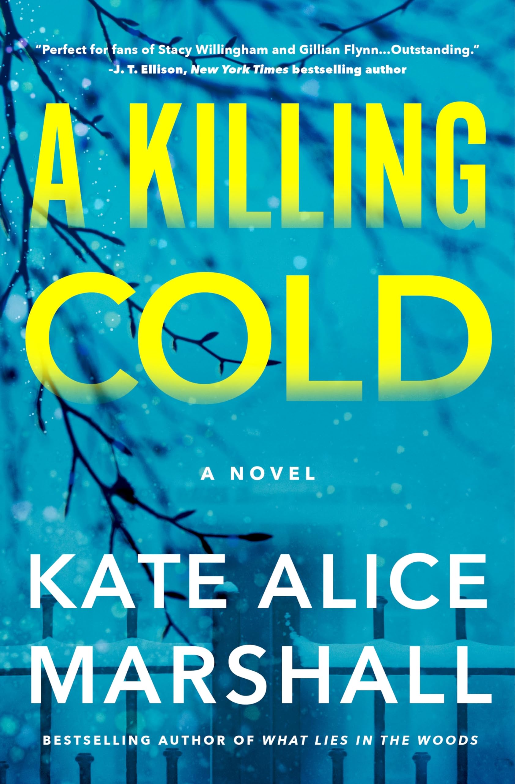 A Killing Cold: A Novel : Marshall, Kate Alice: Amazon.ca: Books