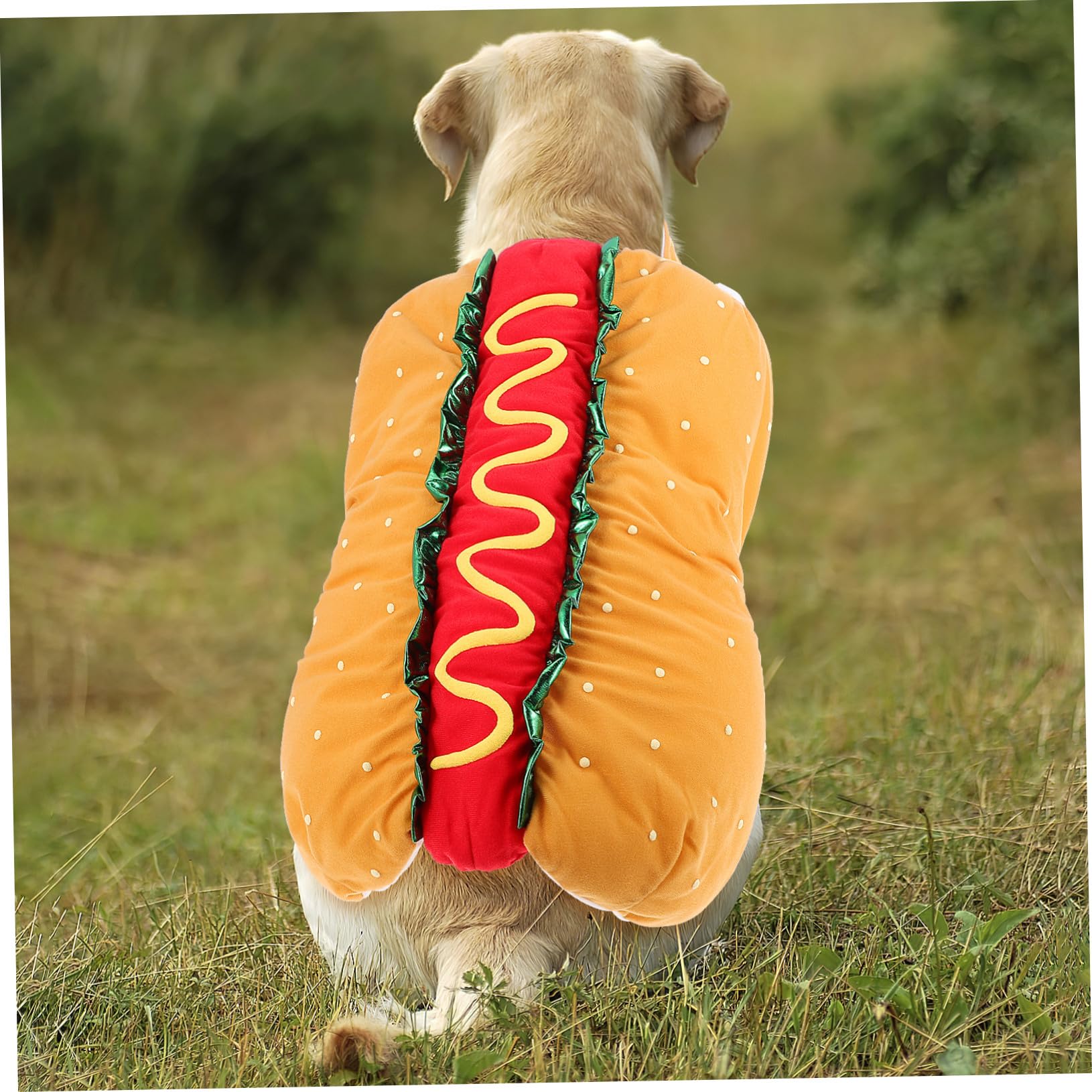 VICASKY Costume di Natale per Gatto e Cane Vestito di Carnevale in Poliestere a Tema Hot Dog Festivo