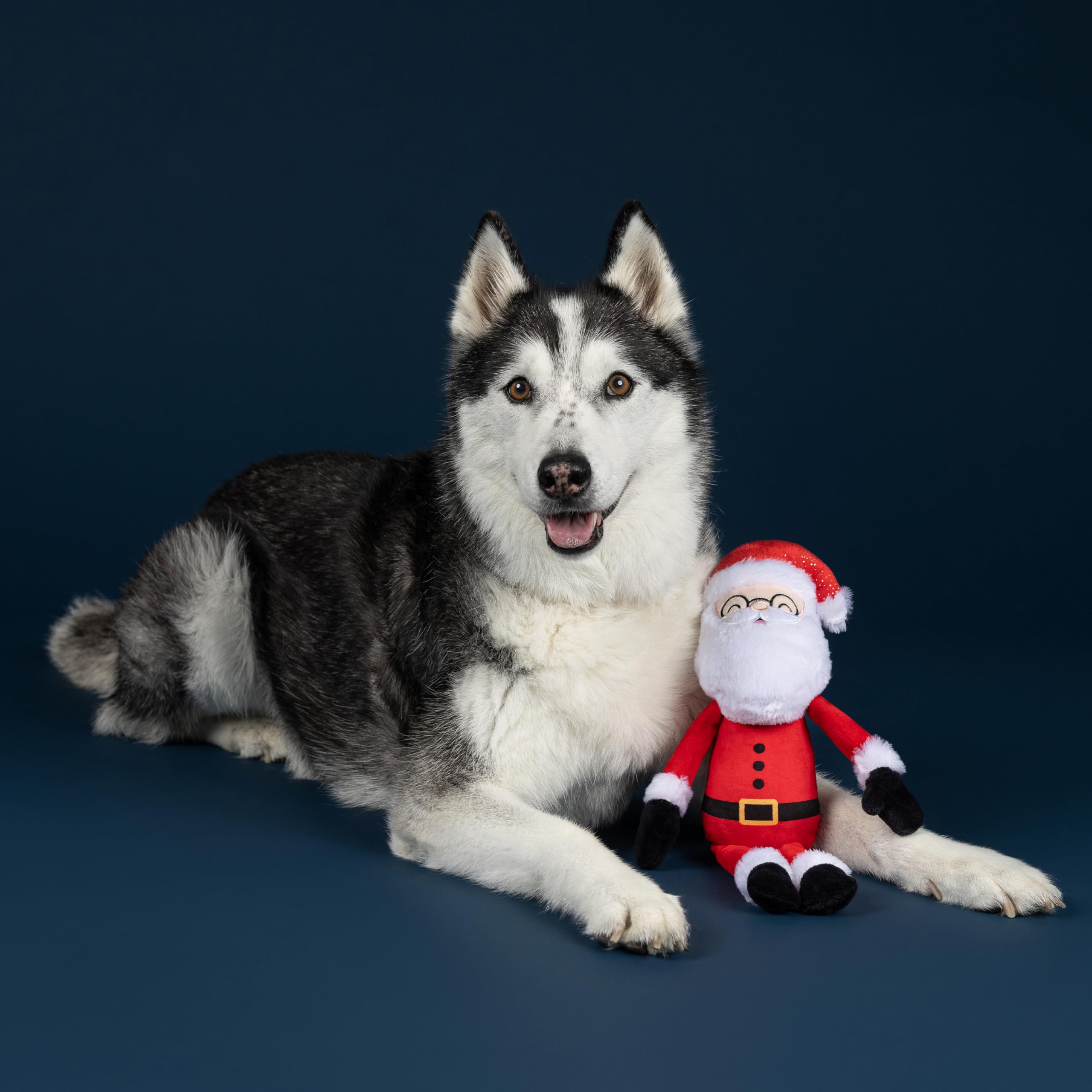 Fringe Studio 314633 Jouet en Peluche pour Chien Motif Père Noël