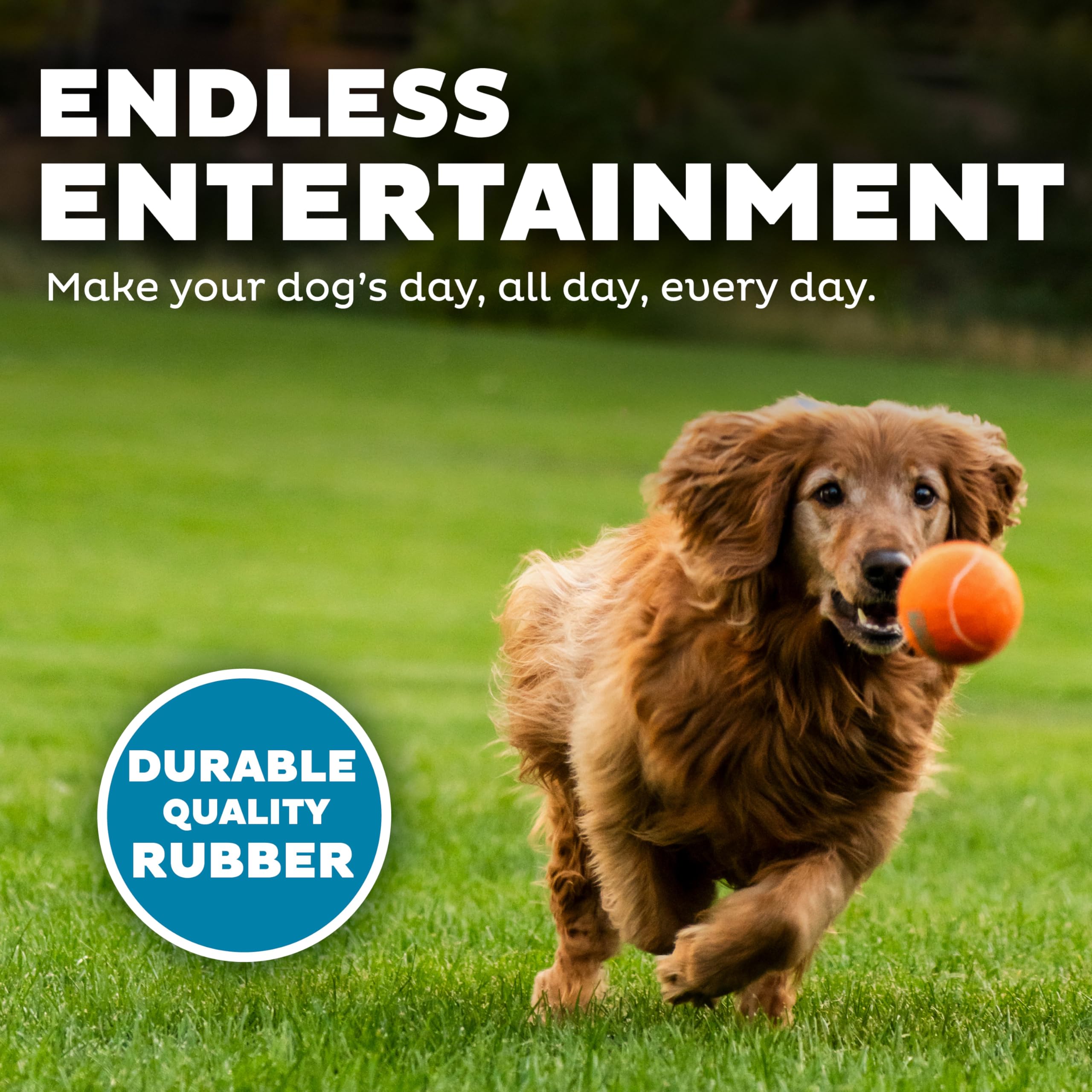 Outward Hound Piszcząca zabawka dla psa Ballz Fetch, duża, 2 szt