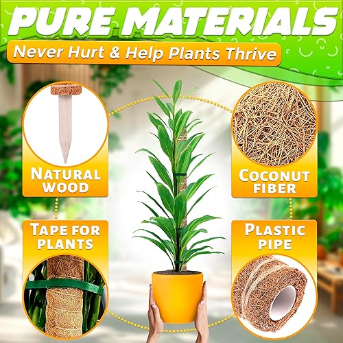 Miniatura 47 de 110 clips para plantas trepadoras, 3 tamaños, de pared, soporte para potus, ganchos para plantas, para vid, plantas de dinero, ganchos de soporte 60