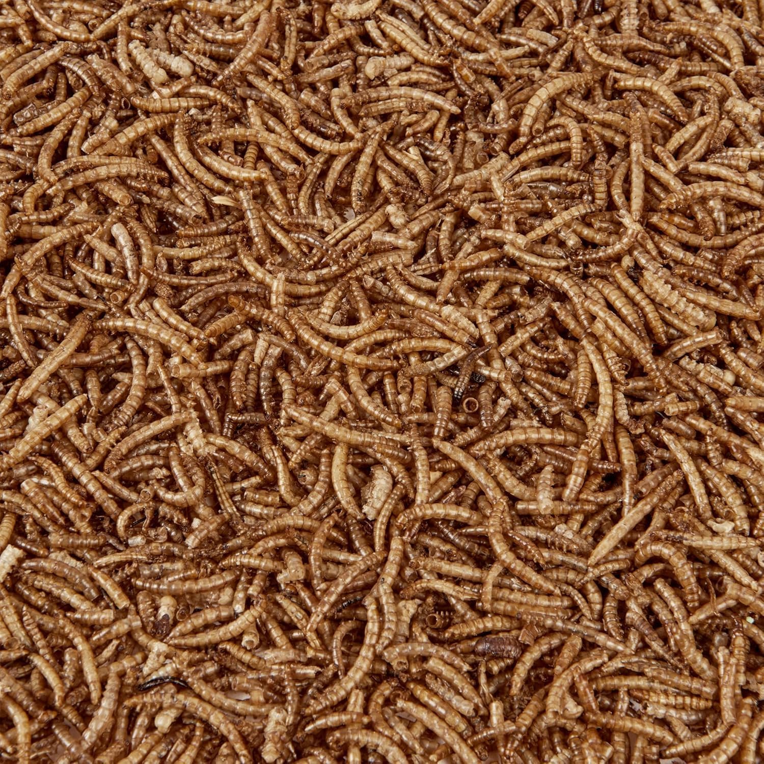Premium Dried Mealworms 3L Refill Bag
