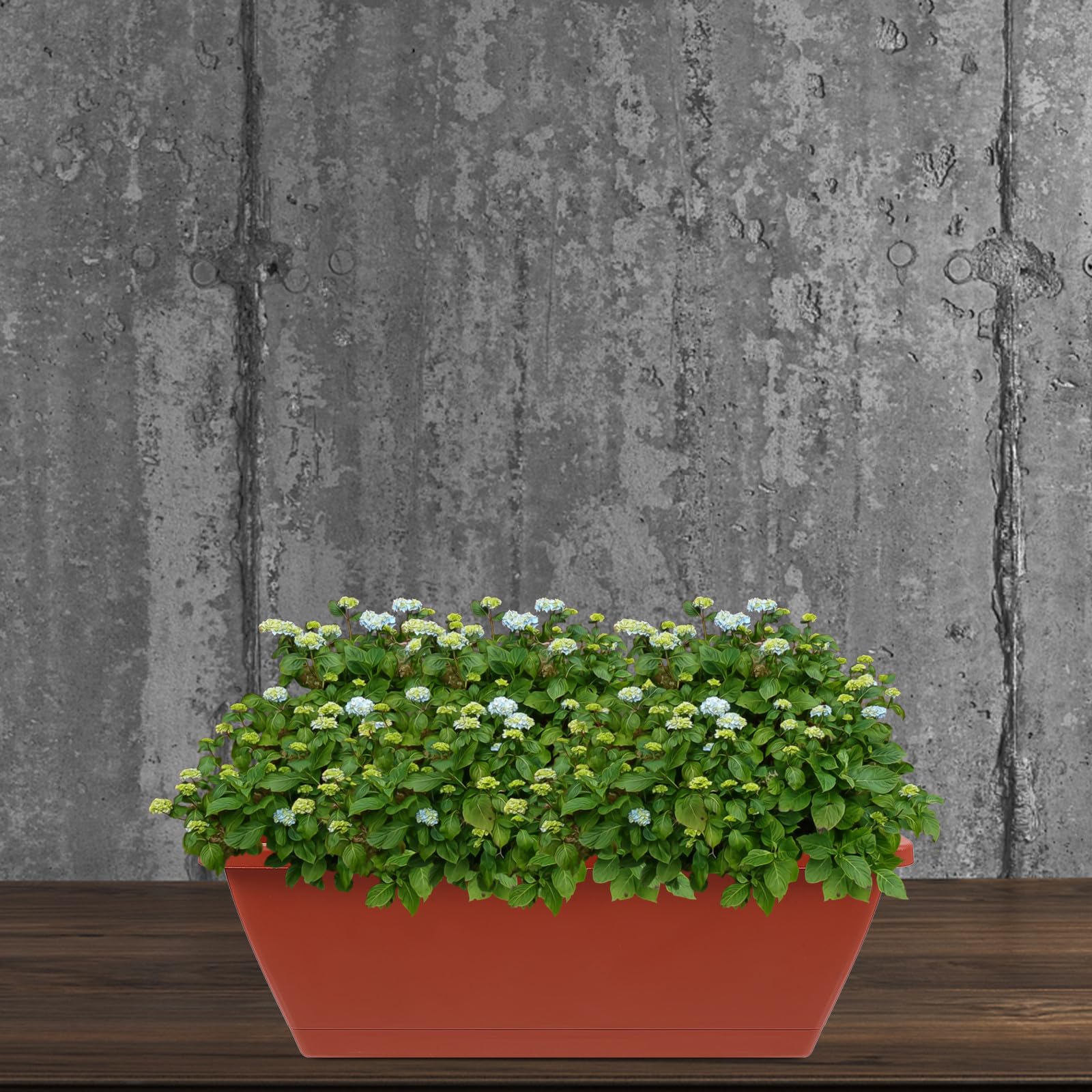 Set 6 Vasi di Fiori in Plastica per Balcone e Casa, Grande Vaso Rettangolare Spesso e Resistente, per Piante e Orto Domestico