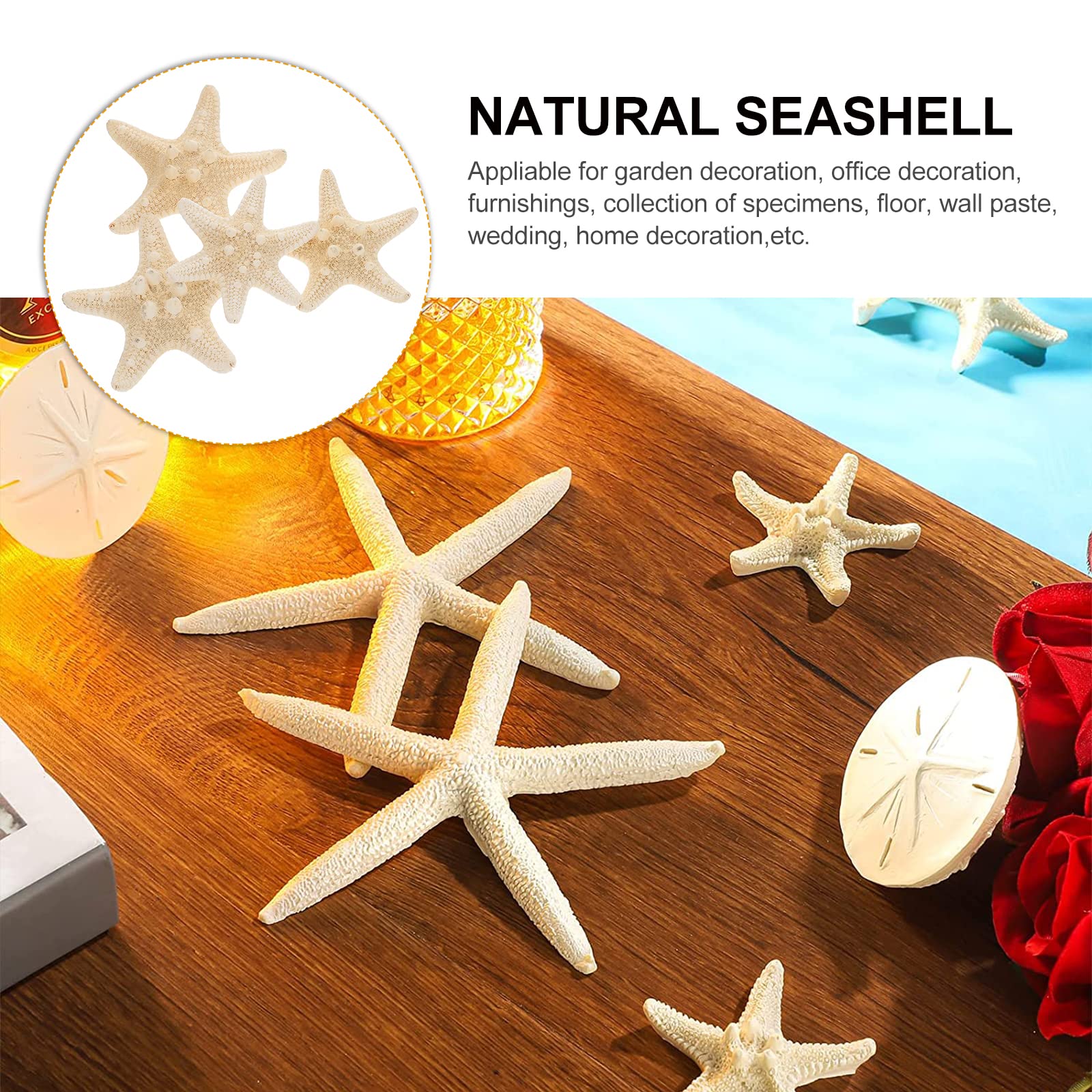 Amosfun Juego de 4 Conchas de Estrellas de mar Naturales para decoración náutica (5-8 cm)