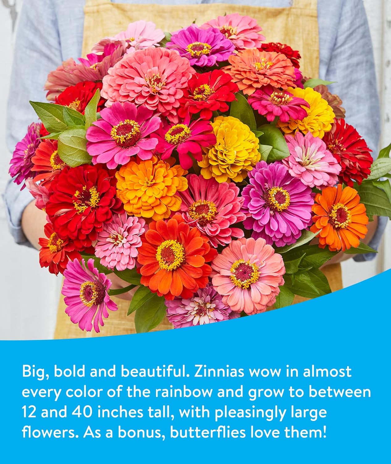 Wagner's 62004 20-Pound Wild Bird Food and Burpee Hummingbird & Butterfly Wildflower Seed Mix Bundle