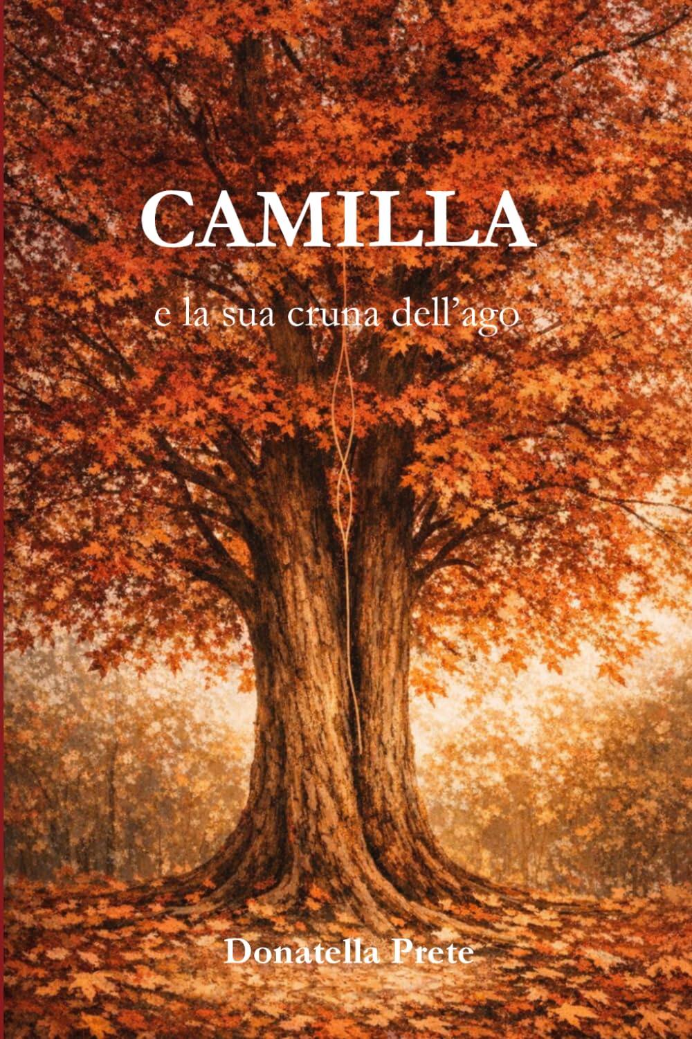 Camilla e la sua cruna dell’ago