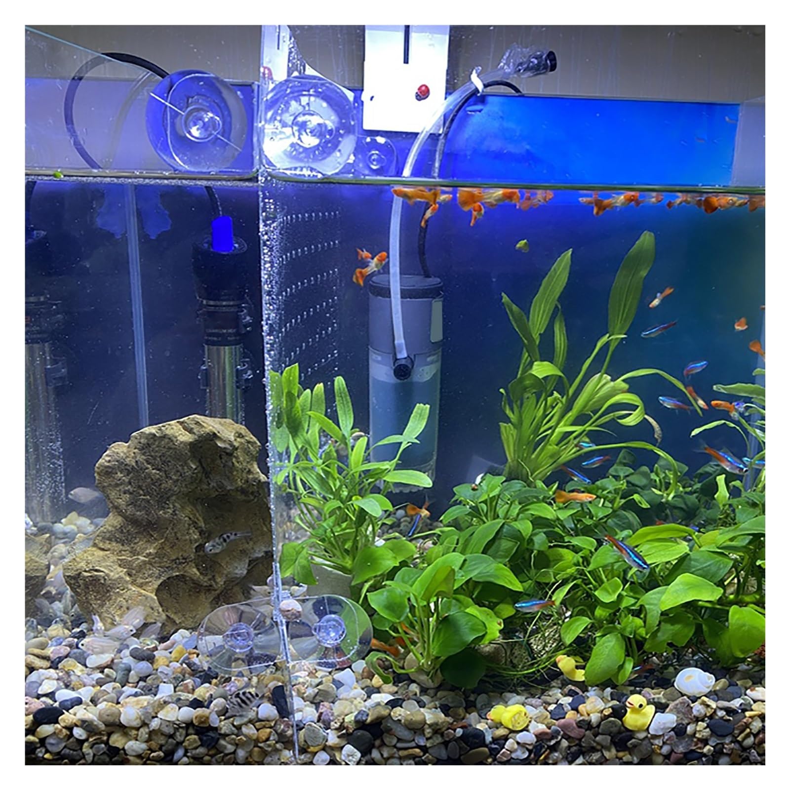 ERRULAN Divisor de Acuario Divisor de Tanque de Peces Ajustable, Tablero de Rejilla Aislamiento Acuario, Cubierta deflectora Placa Que bloquea Red partición(Fits Fish 2cm/0.79in,55gal (60x60cm))