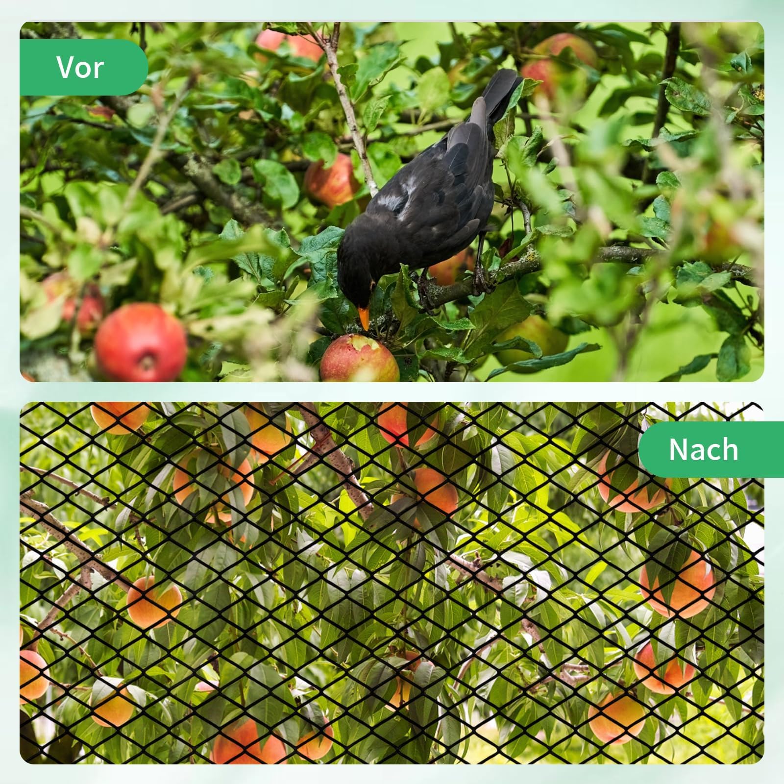 Filet de bassin à mailles fines polyéthylène 4 x 6 m noir protection oiseaux