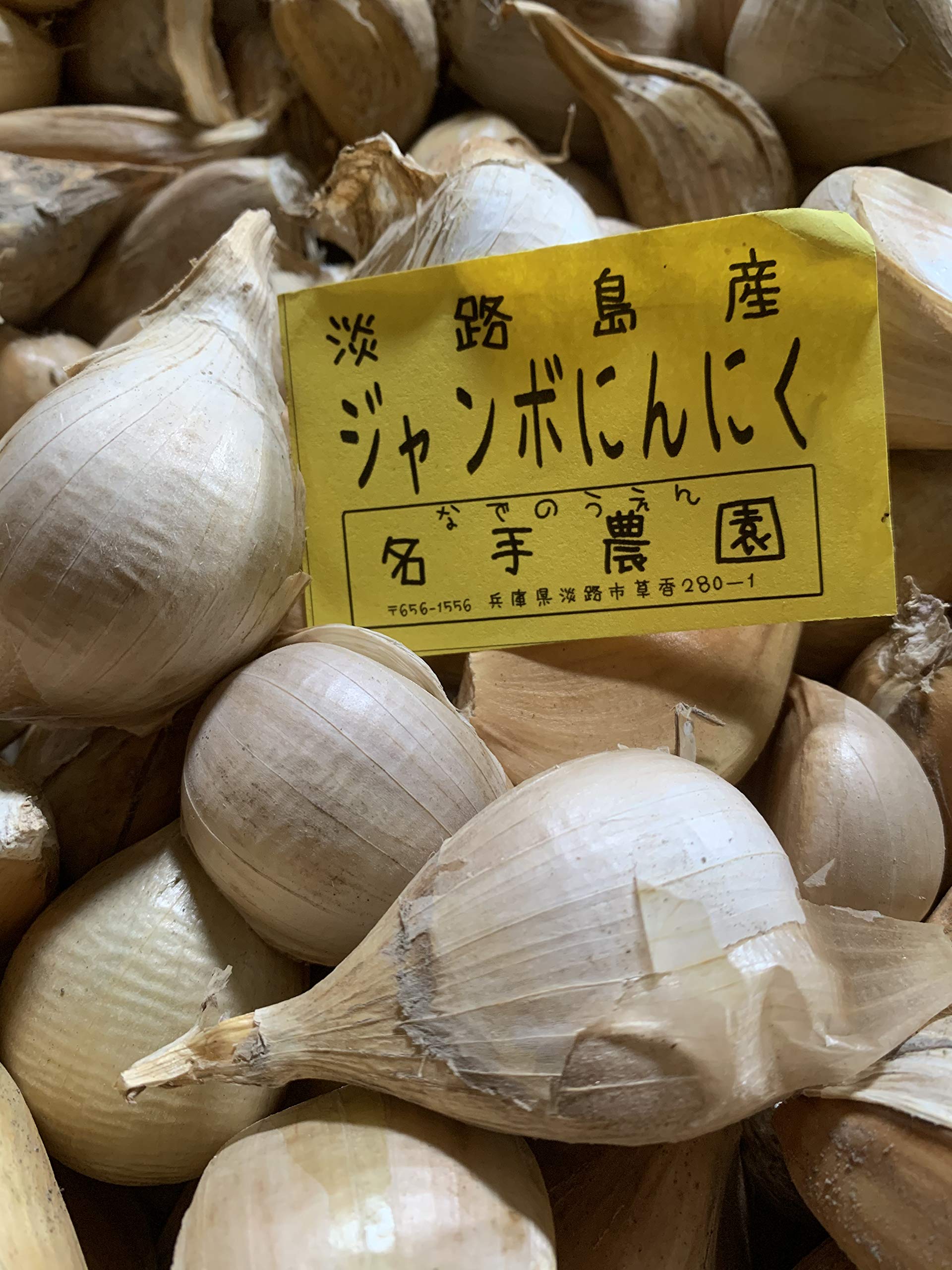 Amazon.co.jp: 名手農園 淡路島産ジャンボニンニク 訳あり (割れ・バラ 
