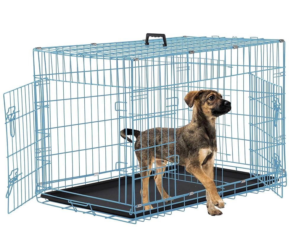 Amazon.com : MidWest Folding Metal Dog Crate, 36